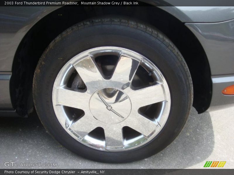 Mountain Shadow Grey / Black Ink 2003 Ford Thunderbird Premium Roadster