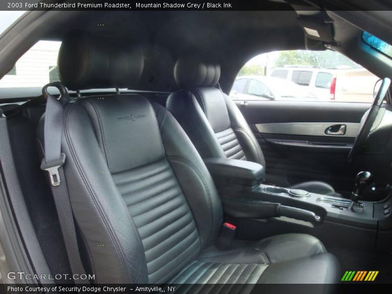 Mountain Shadow Grey / Black Ink 2003 Ford Thunderbird Premium Roadster