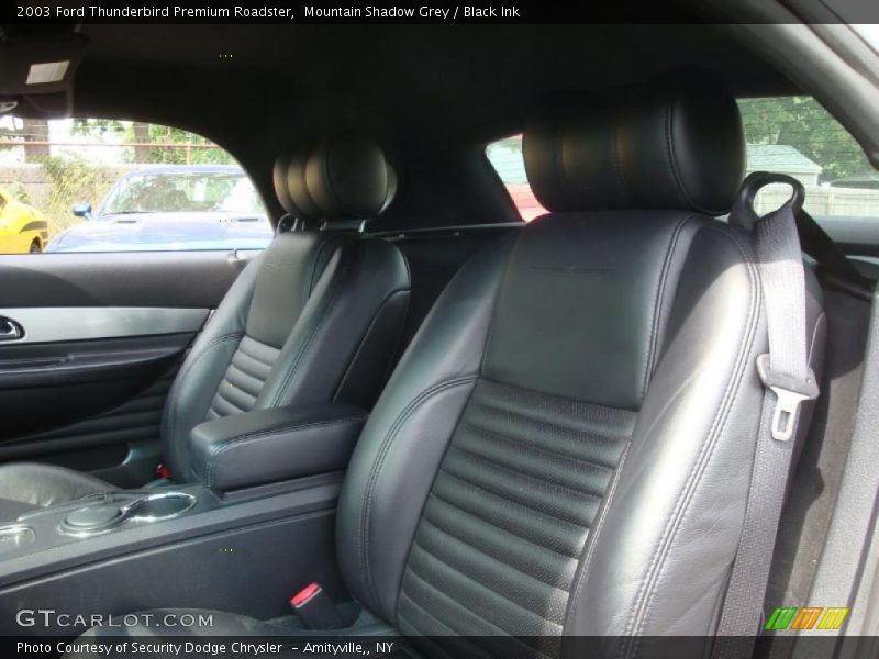 Mountain Shadow Grey / Black Ink 2003 Ford Thunderbird Premium Roadster