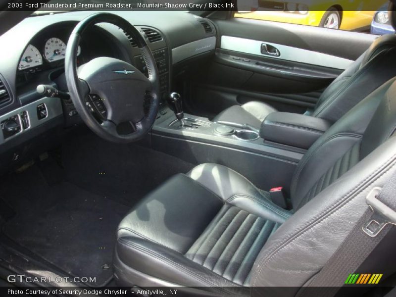 Mountain Shadow Grey / Black Ink 2003 Ford Thunderbird Premium Roadster
