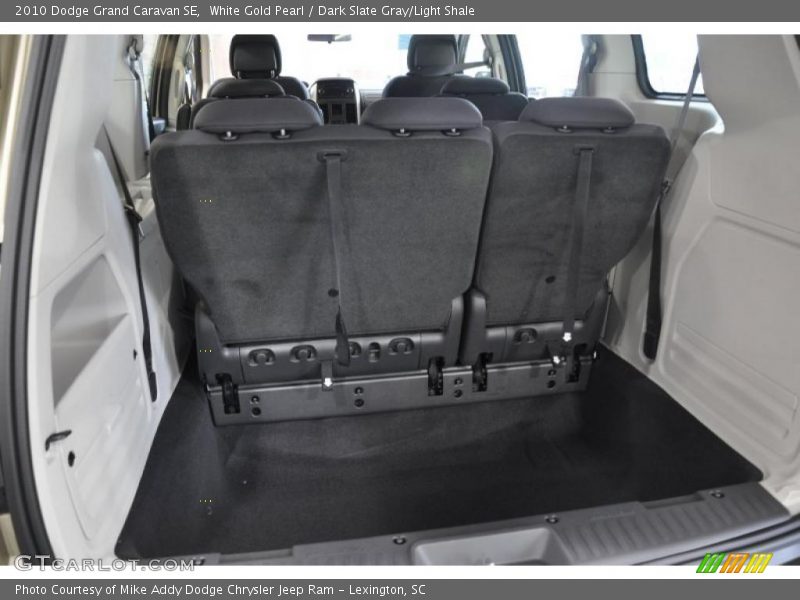White Gold Pearl / Dark Slate Gray/Light Shale 2010 Dodge Grand Caravan SE