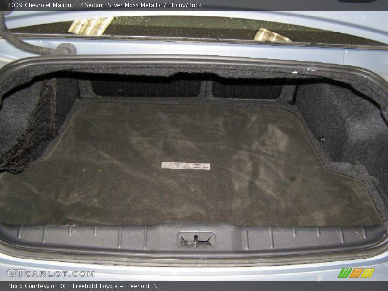 Silver Moss Metallic / Ebony/Brick 2009 Chevrolet Malibu LTZ Sedan