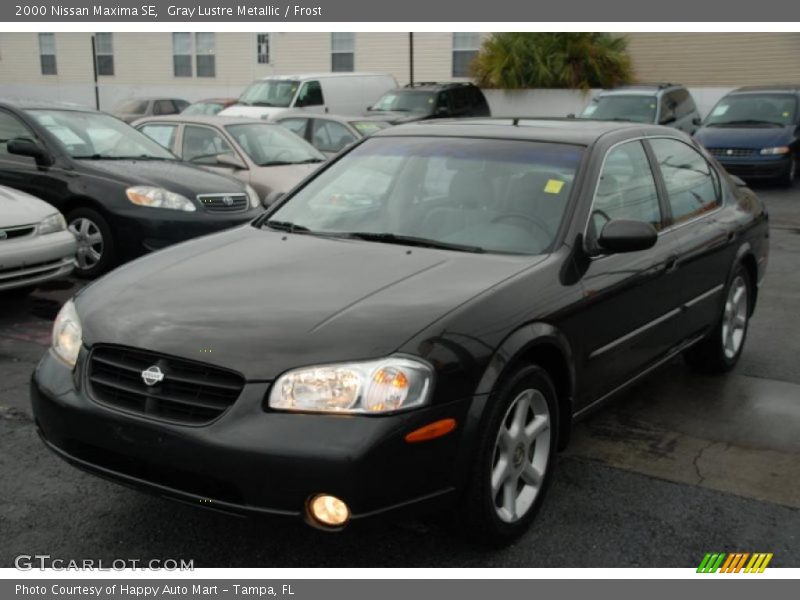 Gray Lustre Metallic / Frost 2000 Nissan Maxima SE