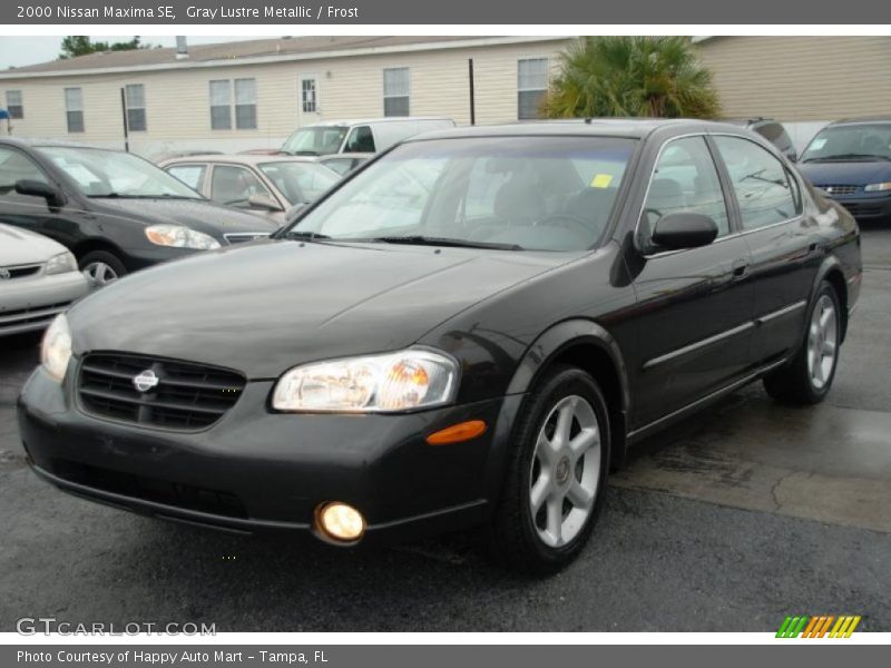 Gray Lustre Metallic / Frost 2000 Nissan Maxima SE