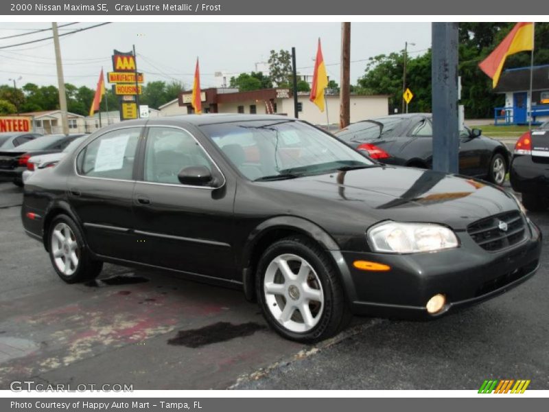 Gray Lustre Metallic / Frost 2000 Nissan Maxima SE