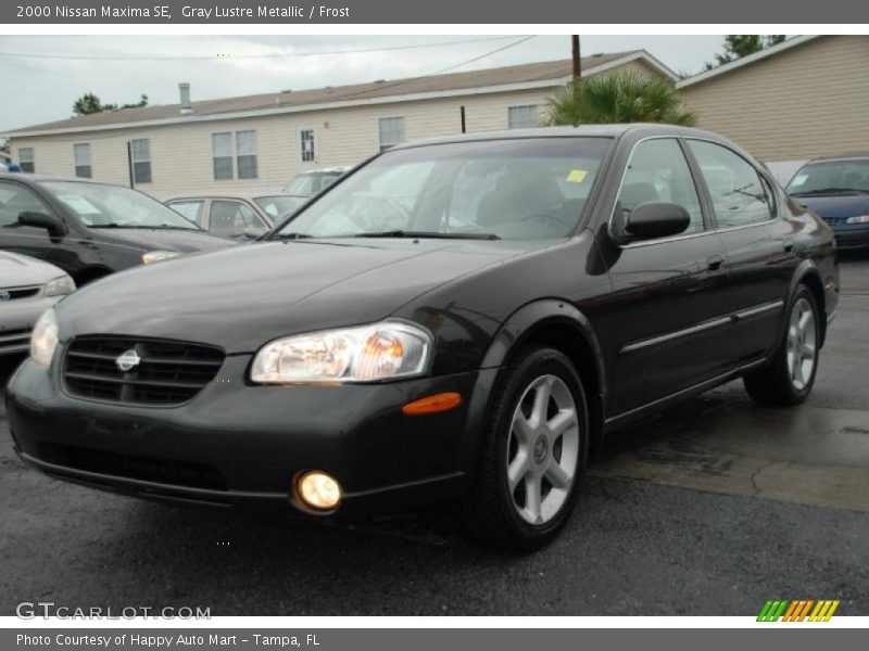 Gray Lustre Metallic / Frost 2000 Nissan Maxima SE