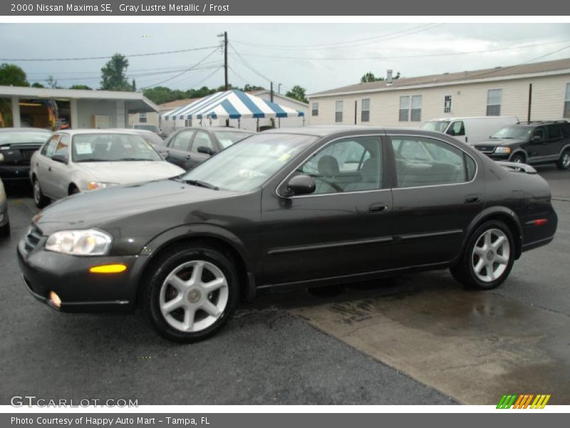 Gray Lustre Metallic / Frost 2000 Nissan Maxima SE