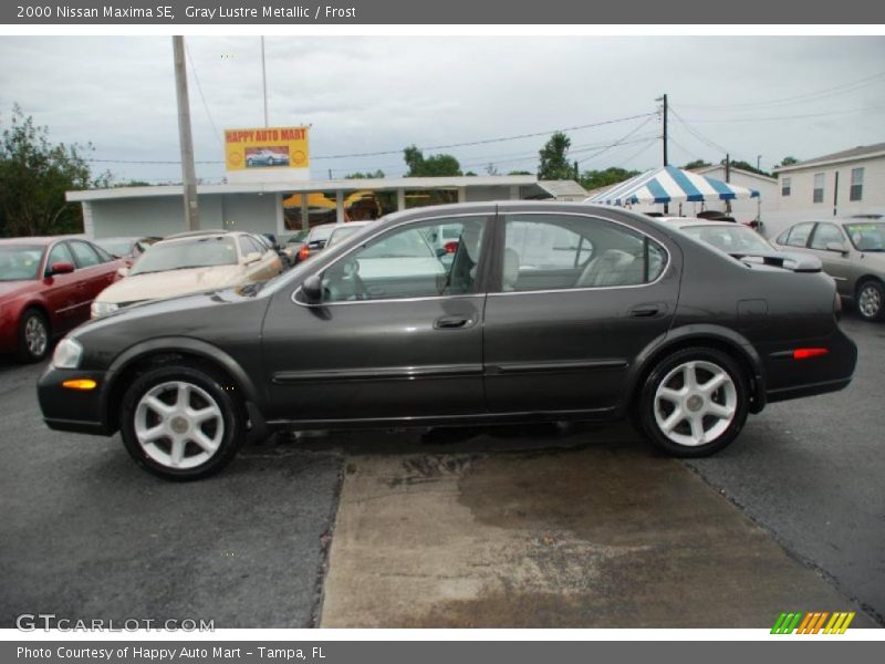 Gray Lustre Metallic / Frost 2000 Nissan Maxima SE