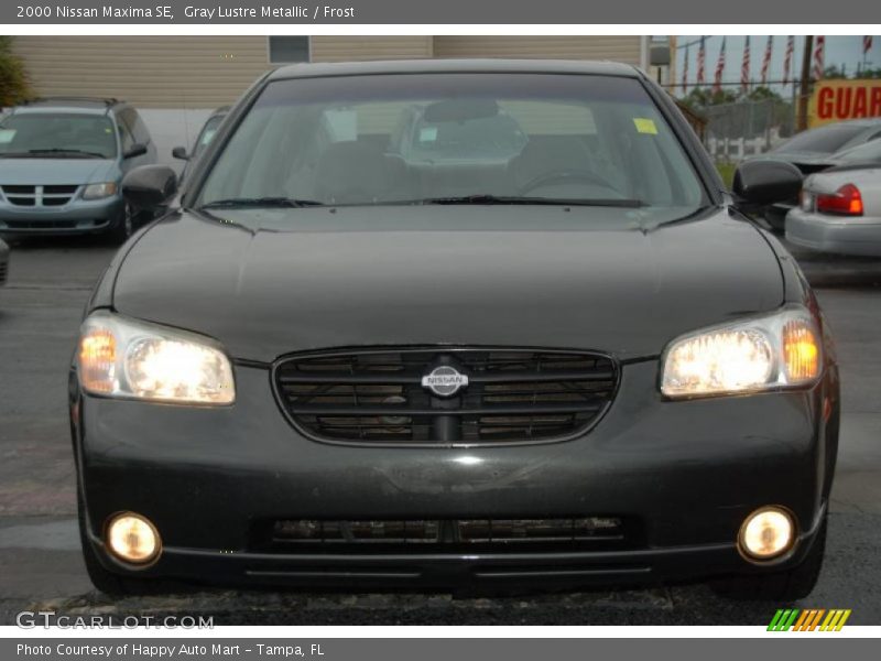 Gray Lustre Metallic / Frost 2000 Nissan Maxima SE