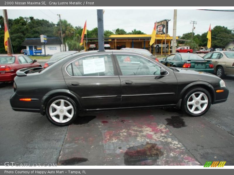 Gray Lustre Metallic / Frost 2000 Nissan Maxima SE