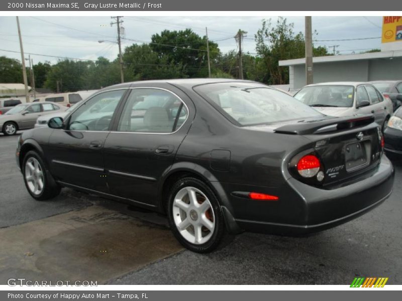 Gray Lustre Metallic / Frost 2000 Nissan Maxima SE