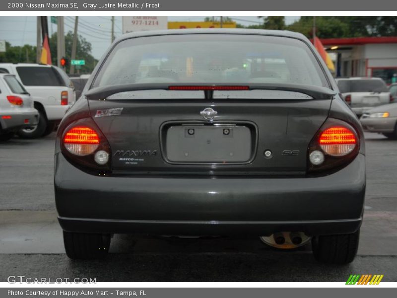 Gray Lustre Metallic / Frost 2000 Nissan Maxima SE