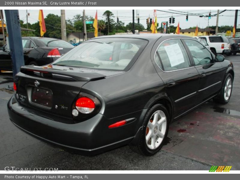 Gray Lustre Metallic / Frost 2000 Nissan Maxima SE