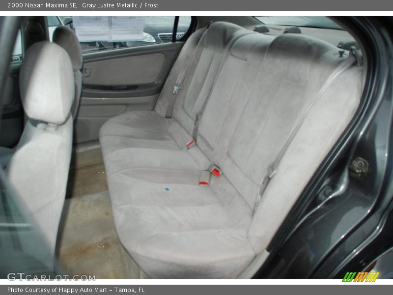 Gray Lustre Metallic / Frost 2000 Nissan Maxima SE
