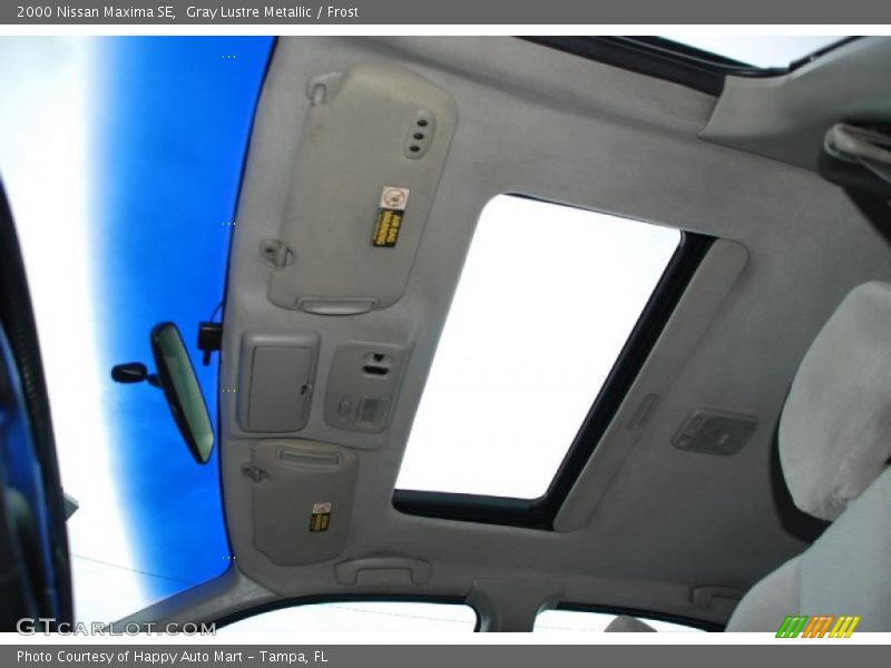 Gray Lustre Metallic / Frost 2000 Nissan Maxima SE