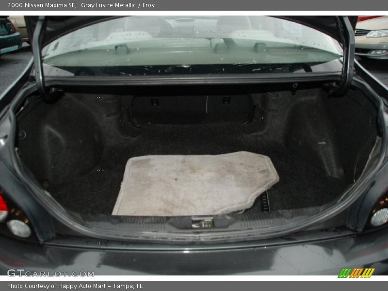 Gray Lustre Metallic / Frost 2000 Nissan Maxima SE
