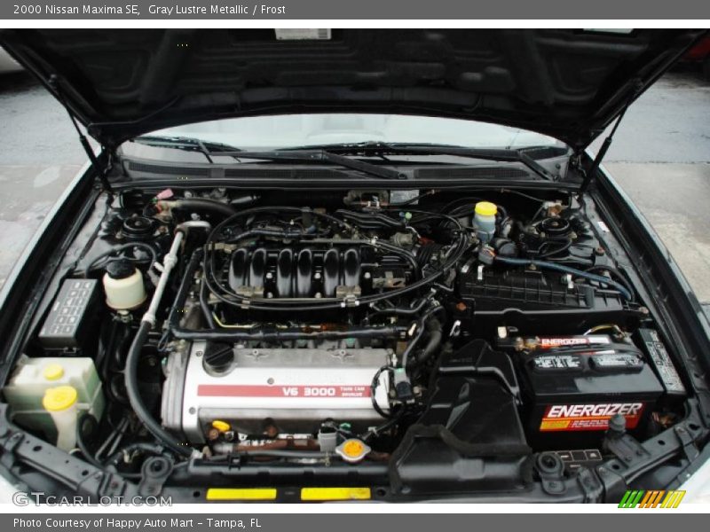 Gray Lustre Metallic / Frost 2000 Nissan Maxima SE