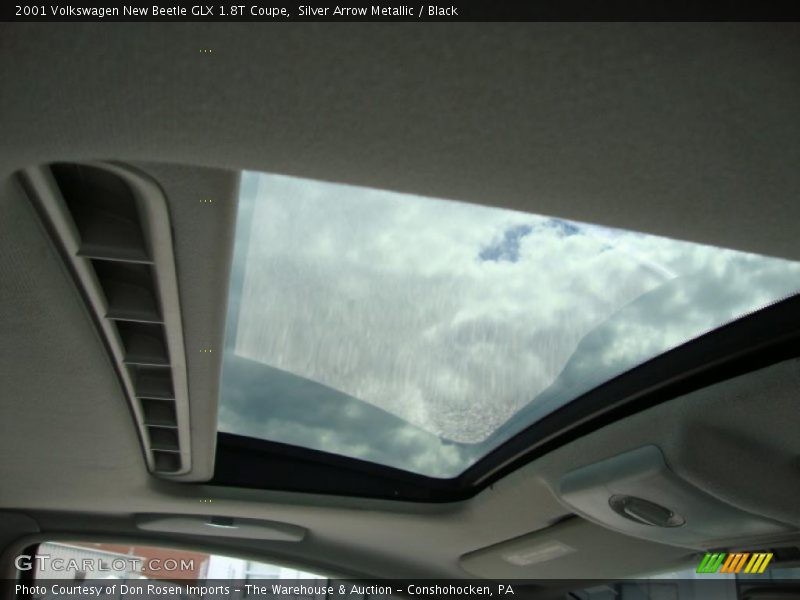 Silver Arrow Metallic / Black 2001 Volkswagen New Beetle GLX 1.8T Coupe