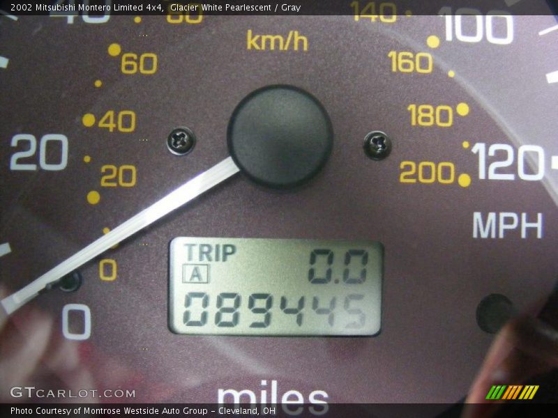 Glacier White Pearlescent / Gray 2002 Mitsubishi Montero Limited 4x4