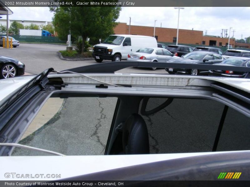 Glacier White Pearlescent / Gray 2002 Mitsubishi Montero Limited 4x4