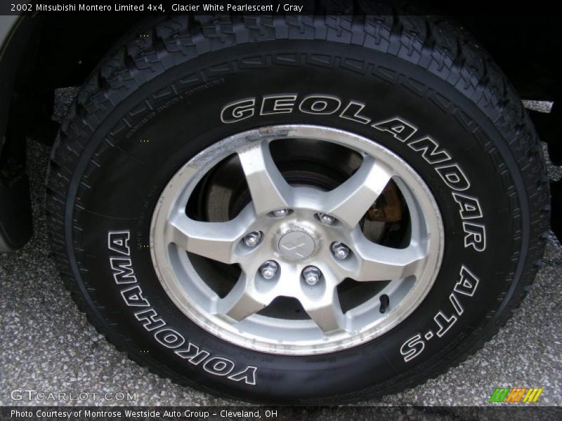 Glacier White Pearlescent / Gray 2002 Mitsubishi Montero Limited 4x4