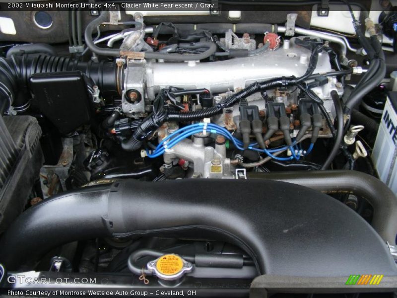 Glacier White Pearlescent / Gray 2002 Mitsubishi Montero Limited 4x4