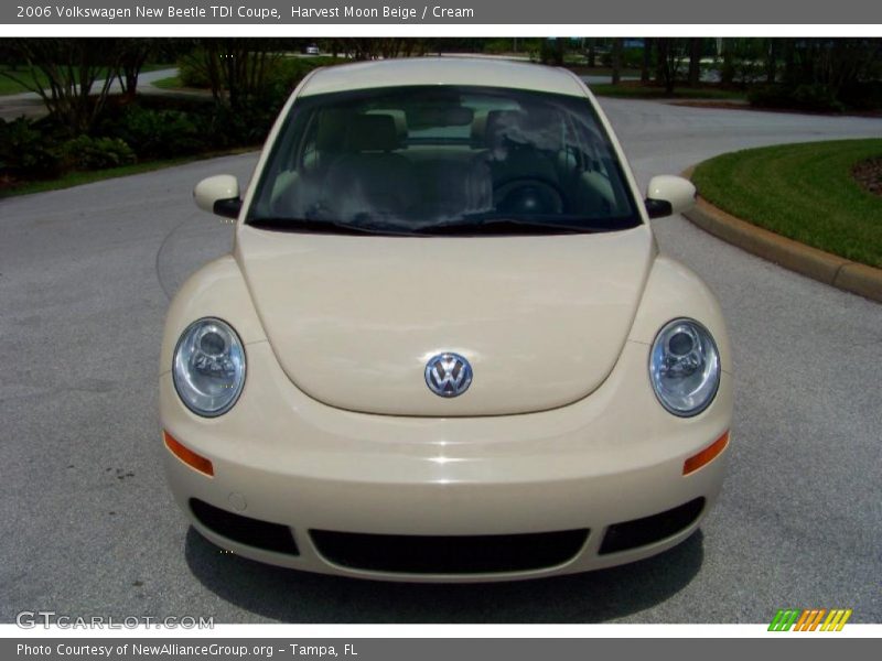 Harvest Moon Beige / Cream 2006 Volkswagen New Beetle TDI Coupe