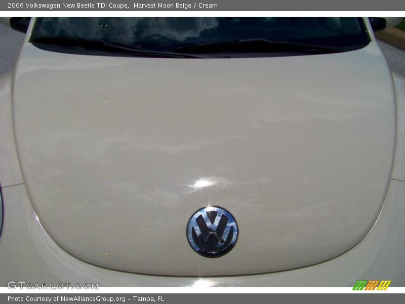 Harvest Moon Beige / Cream 2006 Volkswagen New Beetle TDI Coupe