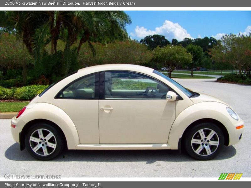 Harvest Moon Beige / Cream 2006 Volkswagen New Beetle TDI Coupe