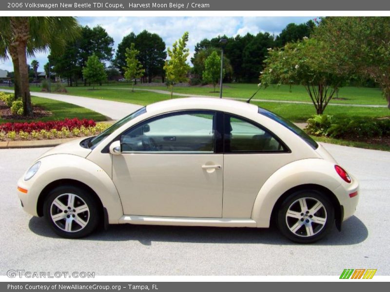 Harvest Moon Beige / Cream 2006 Volkswagen New Beetle TDI Coupe