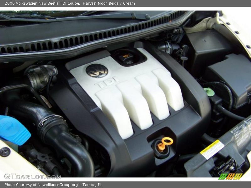 Harvest Moon Beige / Cream 2006 Volkswagen New Beetle TDI Coupe