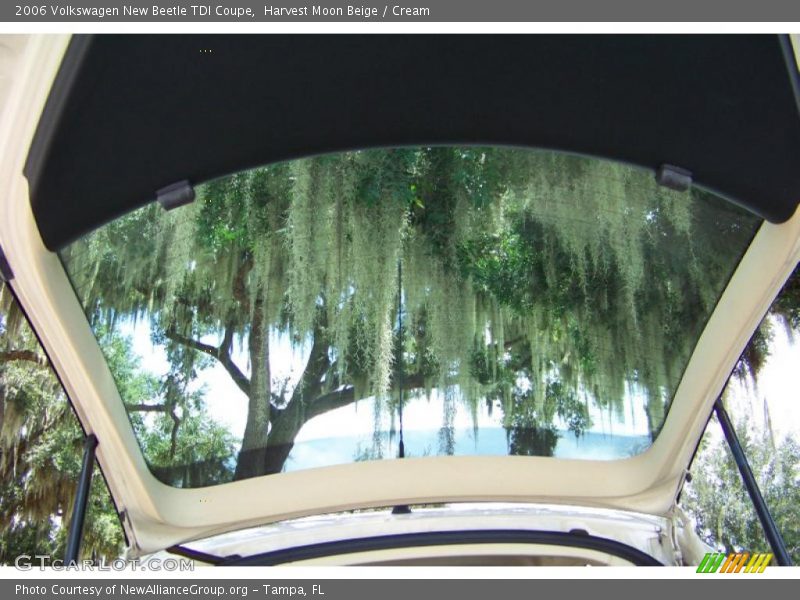 Harvest Moon Beige / Cream 2006 Volkswagen New Beetle TDI Coupe