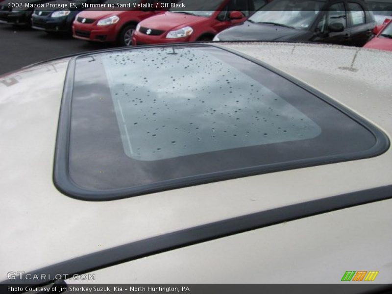 Shimmering Sand Metallic / Off Black 2002 Mazda Protege ES