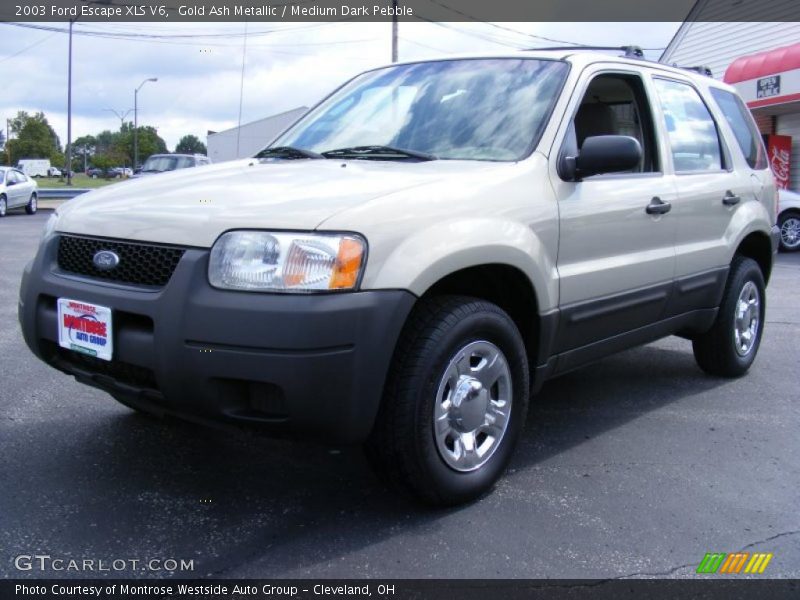 Gold Ash Metallic / Medium Dark Pebble 2003 Ford Escape XLS V6