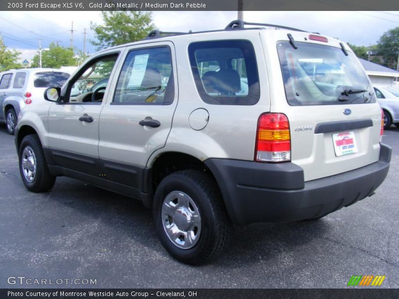 Gold Ash Metallic / Medium Dark Pebble 2003 Ford Escape XLS V6