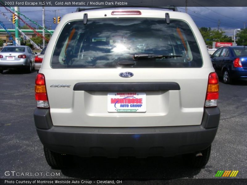 Gold Ash Metallic / Medium Dark Pebble 2003 Ford Escape XLS V6