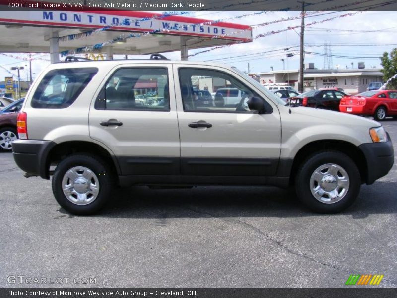 Gold Ash Metallic / Medium Dark Pebble 2003 Ford Escape XLS V6