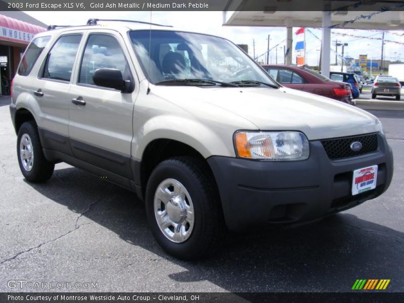 Gold Ash Metallic / Medium Dark Pebble 2003 Ford Escape XLS V6