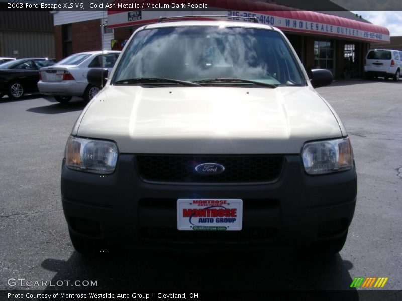 Gold Ash Metallic / Medium Dark Pebble 2003 Ford Escape XLS V6