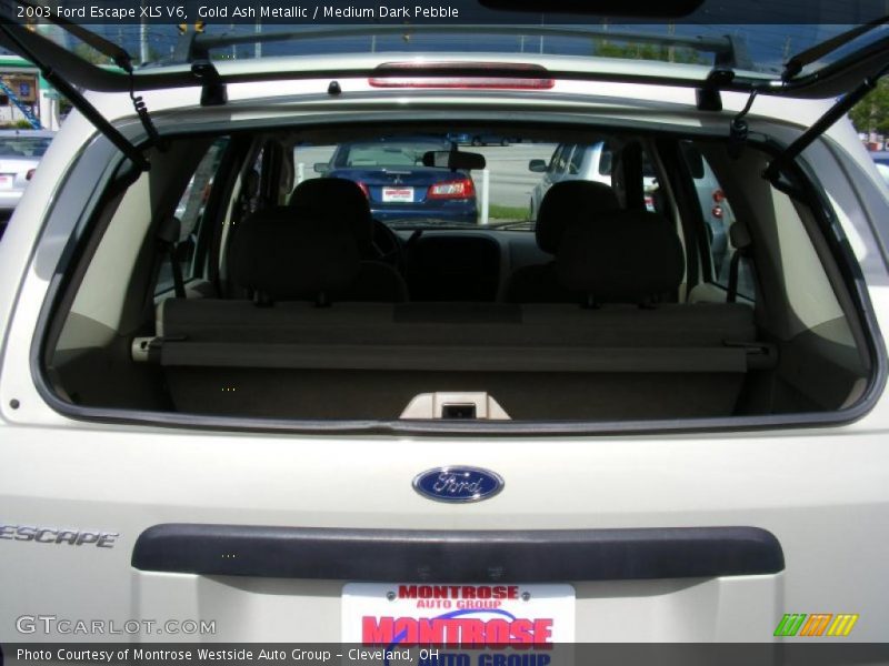 Gold Ash Metallic / Medium Dark Pebble 2003 Ford Escape XLS V6