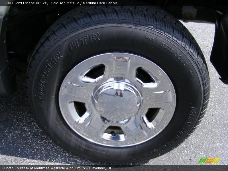 Gold Ash Metallic / Medium Dark Pebble 2003 Ford Escape XLS V6
