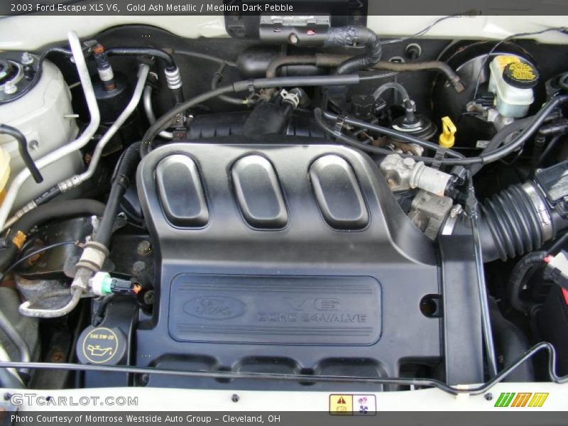 Gold Ash Metallic / Medium Dark Pebble 2003 Ford Escape XLS V6