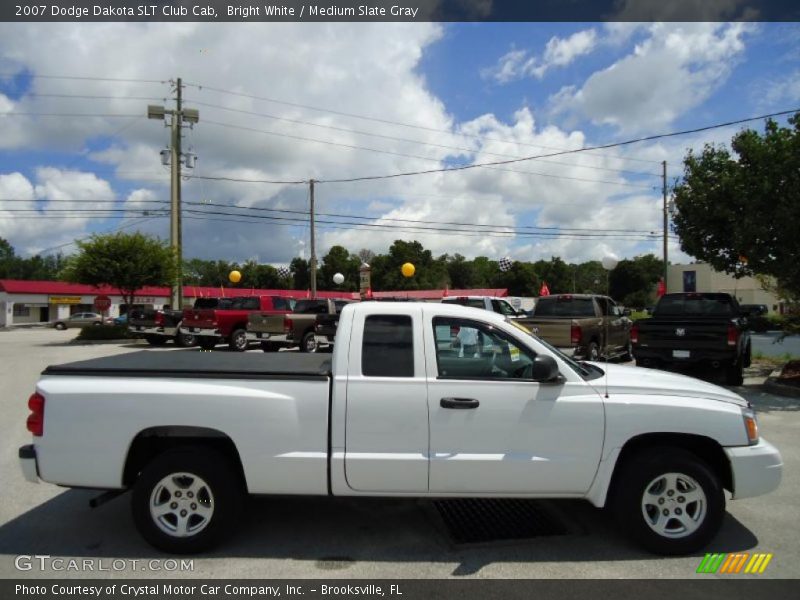 Bright White / Medium Slate Gray 2007 Dodge Dakota SLT Club Cab
