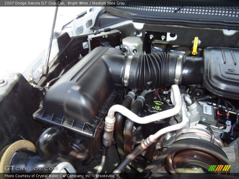 Bright White / Medium Slate Gray 2007 Dodge Dakota SLT Club Cab