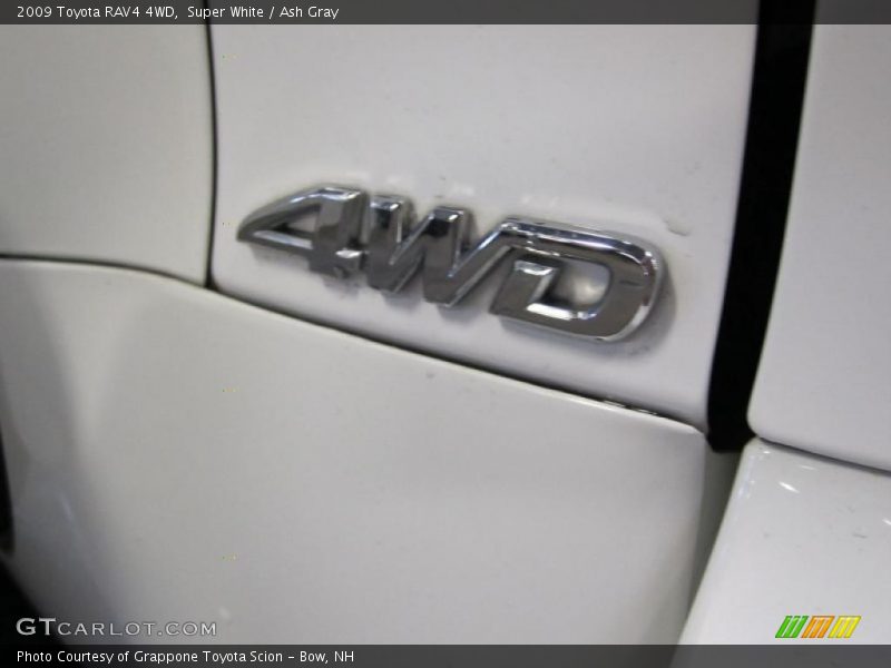 Super White / Ash Gray 2009 Toyota RAV4 4WD