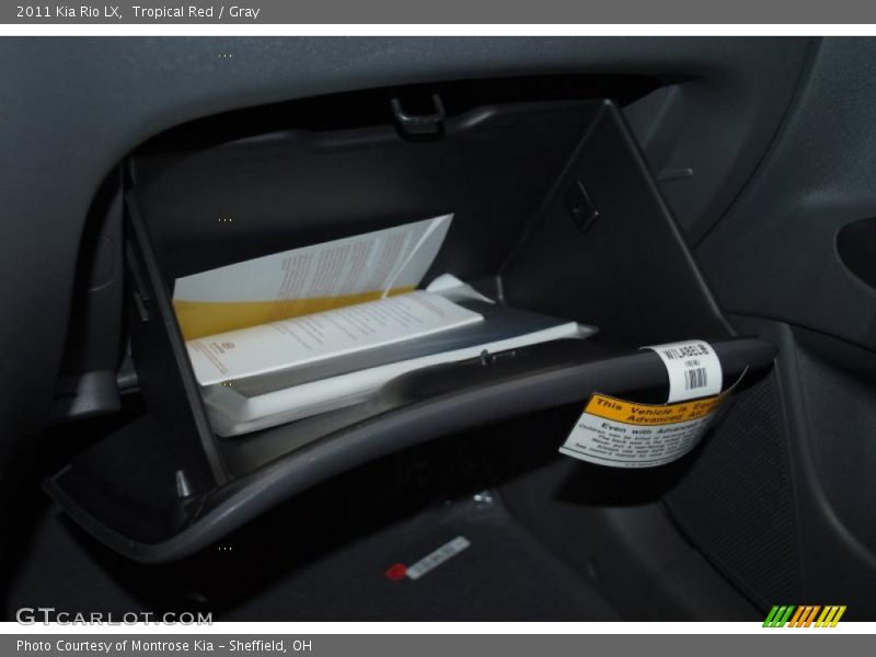 Tropical Red / Gray 2011 Kia Rio LX