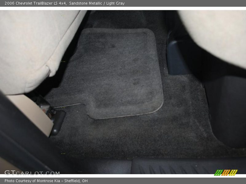Sandstone Metallic / Light Gray 2006 Chevrolet TrailBlazer LS 4x4