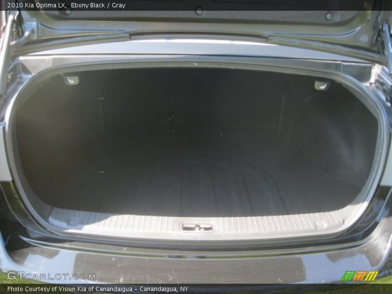Ebony Black / Gray 2010 Kia Optima LX