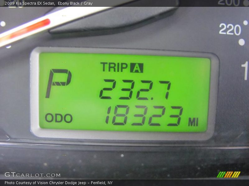 Ebony Black / Gray 2009 Kia Spectra EX Sedan