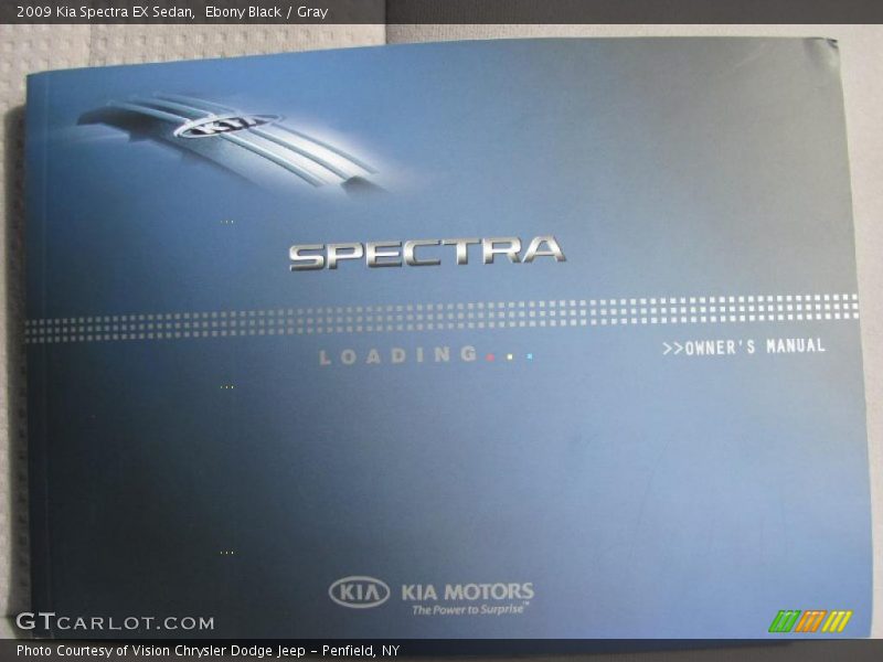 Ebony Black / Gray 2009 Kia Spectra EX Sedan